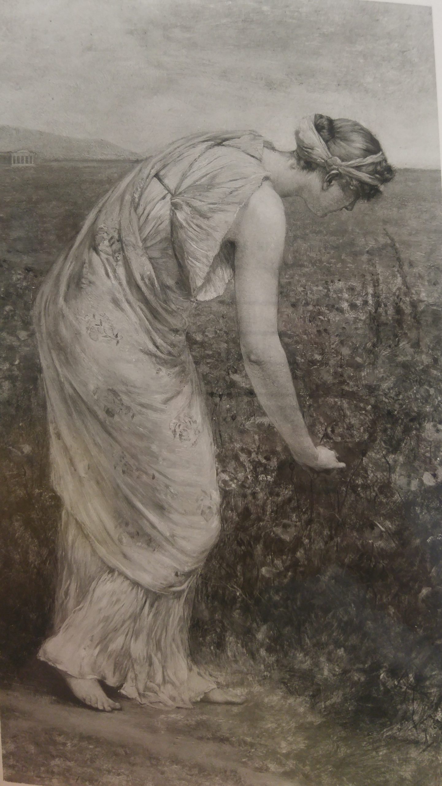 Poppies 1884 at AofA&L NY AutumnIdyll